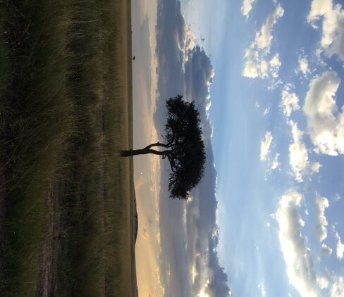 Reflections from Kenya