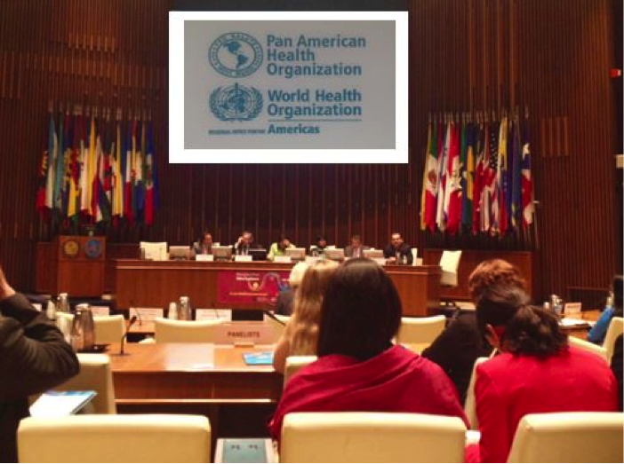 Implementing the Inter-American Convention on Protecting the Human Rights of Older Persons:  A Call for Action