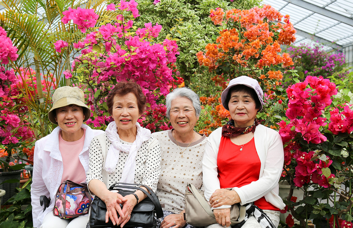 Turning Blue Zone Insights Into Practice When the Built Environment Shapes Longevity